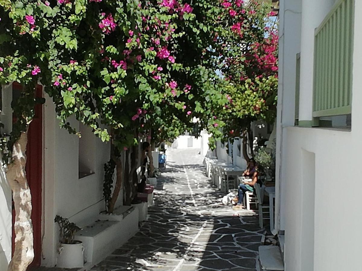 Sunloft-Paros Aparthotel Náousa Exterior photo