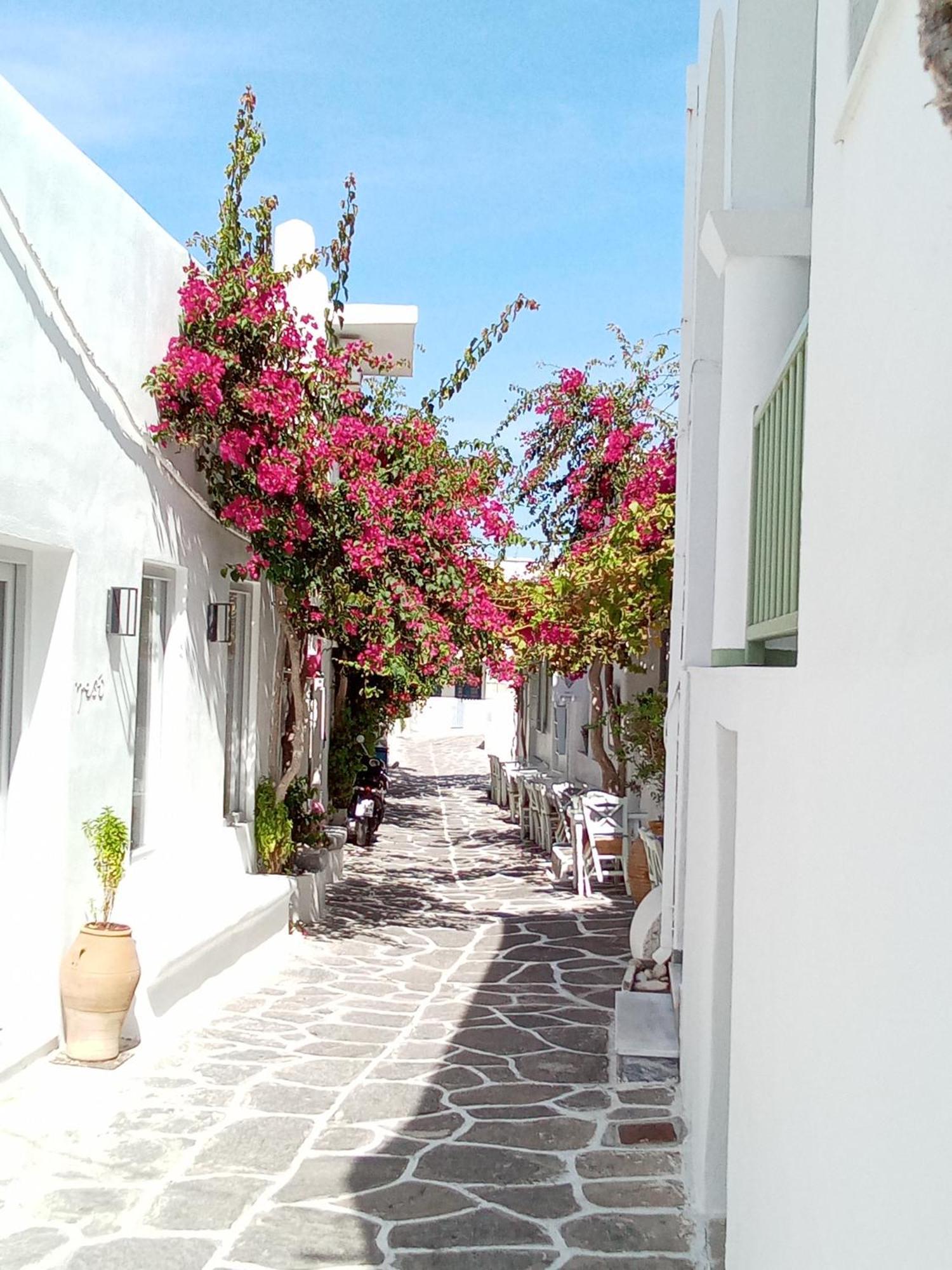 Sunloft-Paros Aparthotel Náousa Exterior photo